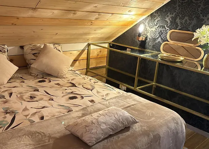 情趣酒店 De Luxe 特镇